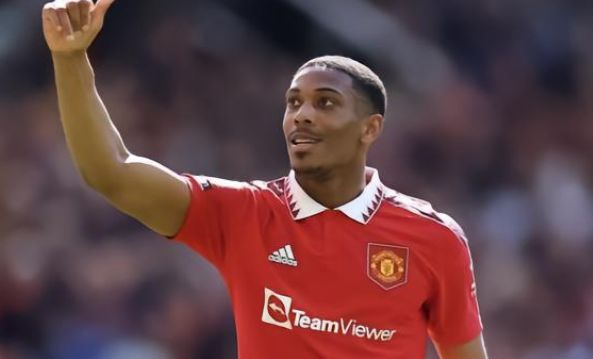 的表现可能 的表现可能